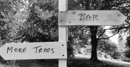 a sign at the fork in a wooded path, one side pointing to "bar" and the other pointing to "more trees"